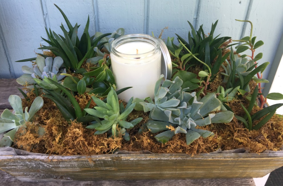 Succlent garden with candle