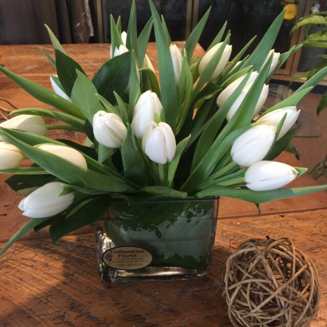 A vase of white tulips on the table