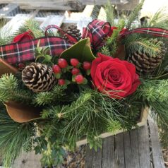 A wooden box filled with pine cones and roses.