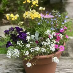 A flower pot with flowers in it sitting on top of a table.