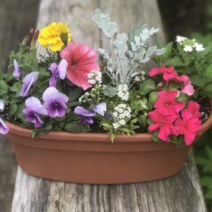 A wooden bench with flowers in it