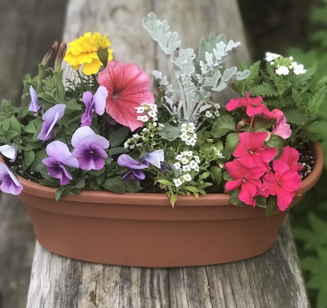 A wooden bench with flowers in it