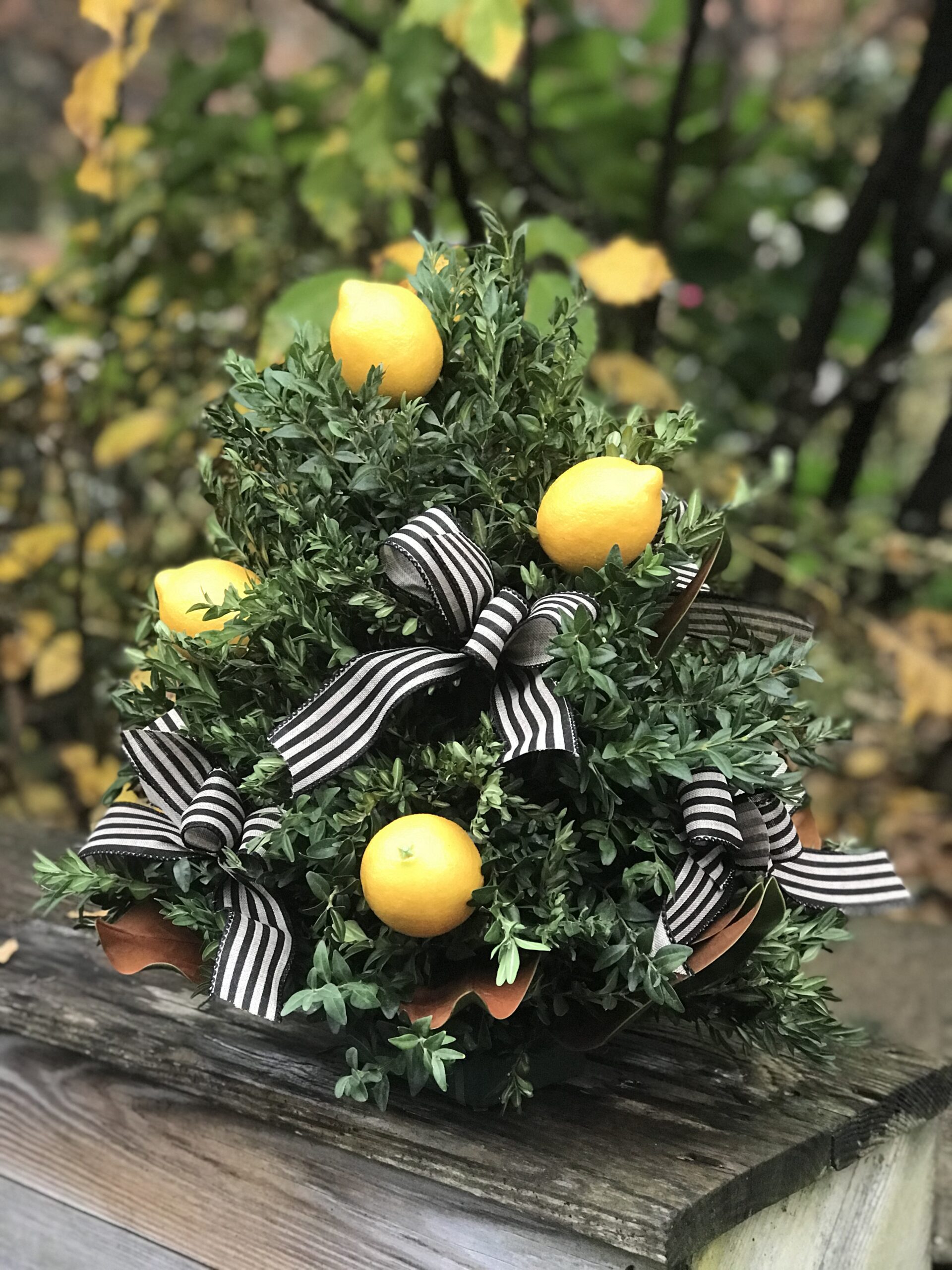 A small tree with lemons and black ribbons.