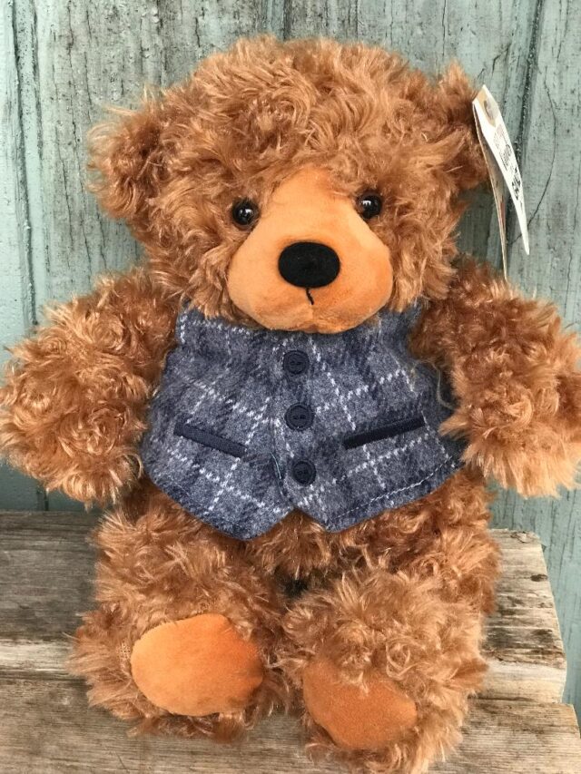 A teddy bear wearing a vest and tie.