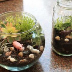 A couple of jars filled with plants and rocks.