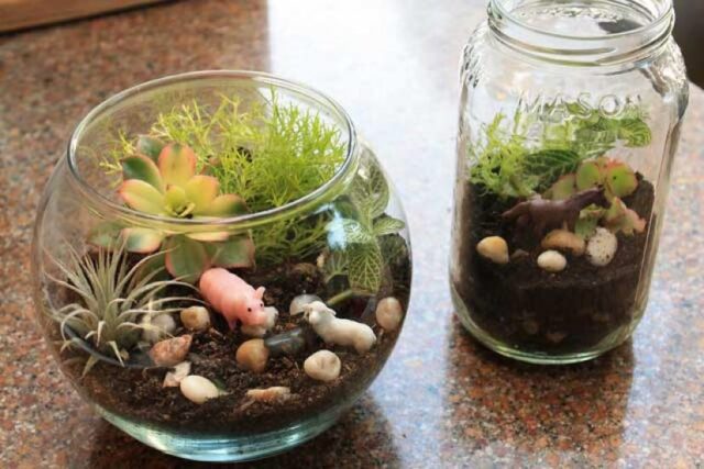 A couple of jars filled with plants and rocks.