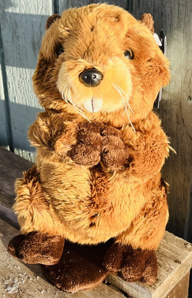 Brown plush beaver sitting on wood.