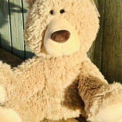 Beige teddy bear sitting on wood.