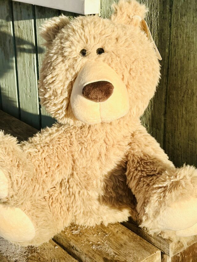 Beige teddy bear sitting on wood.