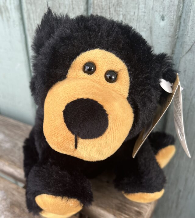 Cute black plush bear cub toy.