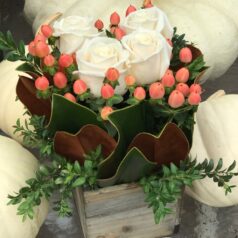White roses and pink berries in vase.