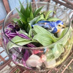 Tea and terrariums workshop on Saturday, April 25th at 1pm at Gulbankian Florist