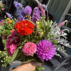 FIRST-EVER SUMMER FLOWER SHARE-STARTS ON Monday, July 27 for 8 weeks! Pick up at Gulbankian Florist