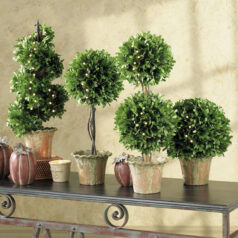 Boxwood Topiary with fairy lights at Gulbankian Florist, Thursday, 12/3 at 6:30 pm